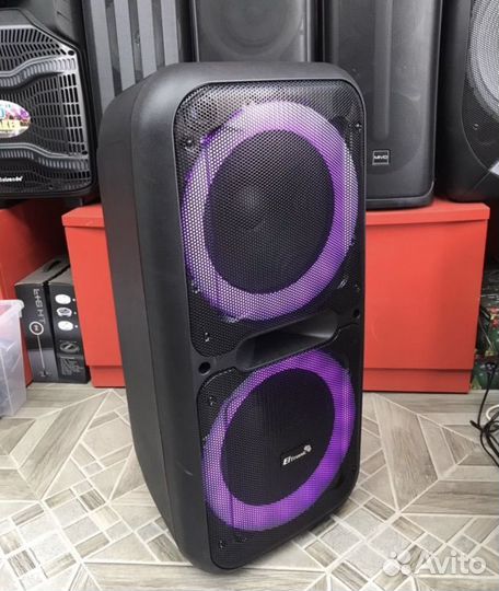 Колонка eltronic до 1000 вт/ 2 микрофона/ pro