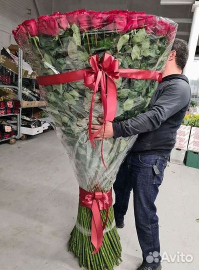 Букет роз 101 роза 51 роза