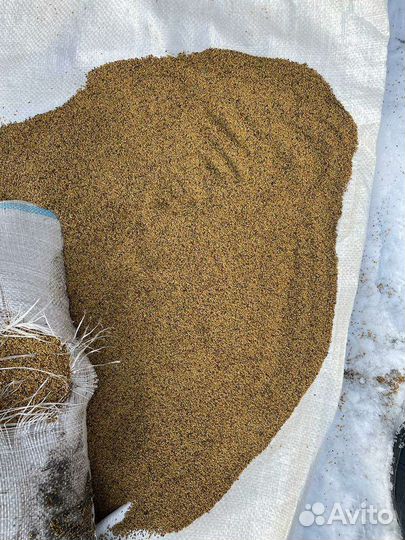 Семена Люцерна