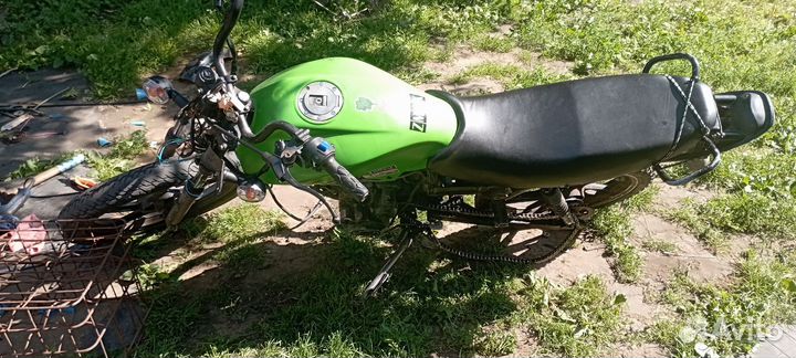 Racer 150-23 tiger