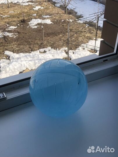 Шар для сирийского хомяка