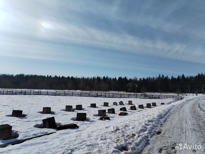 Ленточная пилорама в аренду