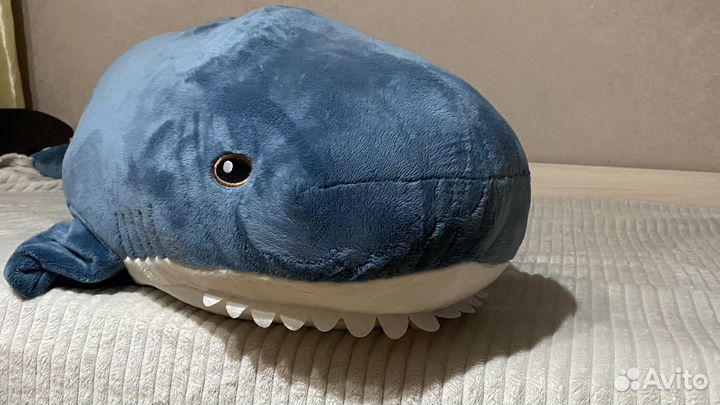 Акула из икеи