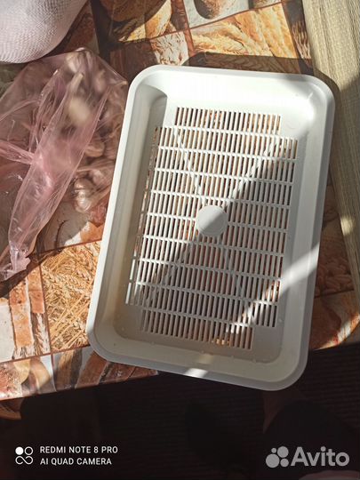 Кошачий лоток