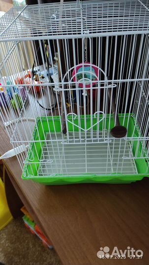 Клетка для попугая бу