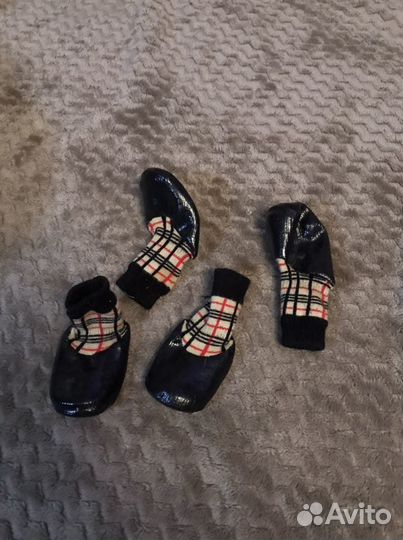 Носки с резиновой основой для собаки