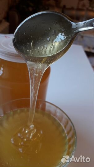 Мёд со своей пасеки 