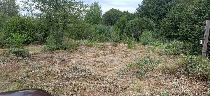 Участок 10 сот. (СНТ, ДНП)