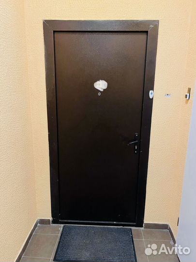 Дверь входная