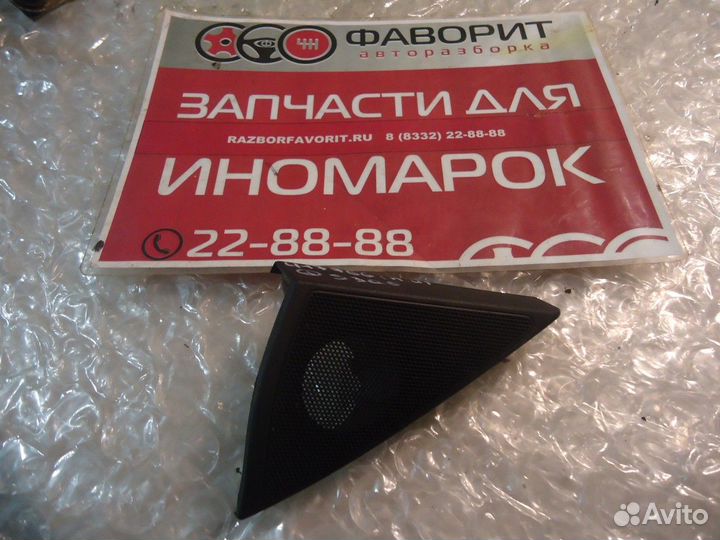 Решетка динамика (передняя левая)