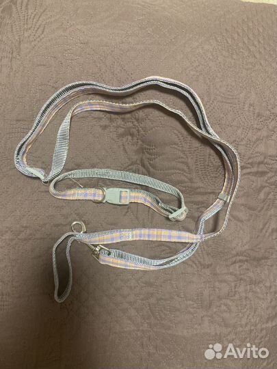 Ошейник для собаки