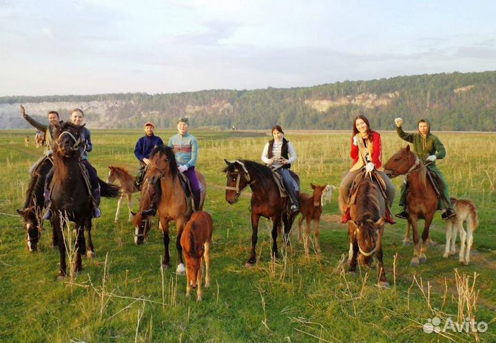 16.06 Конный тур к скале Акташ