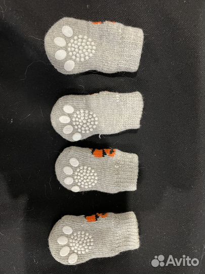 Одежда для маленькой собаки