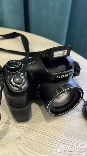 Sony dsc h100