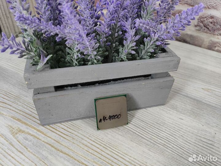 Процессоры под сокет FM2 2 ядра