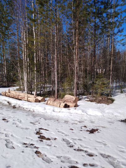 Участок 10 сот. (СНТ, ДНП)