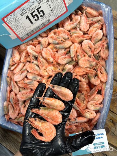 Креветка северная мурманская 150+