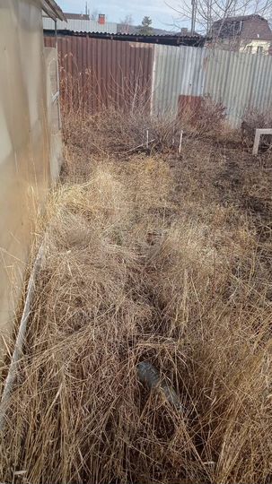 Участок 7,4 сот. (ИЖС)