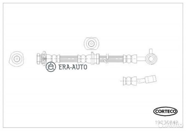Corteco 19036849 Тормозной шланг передний R 265mm