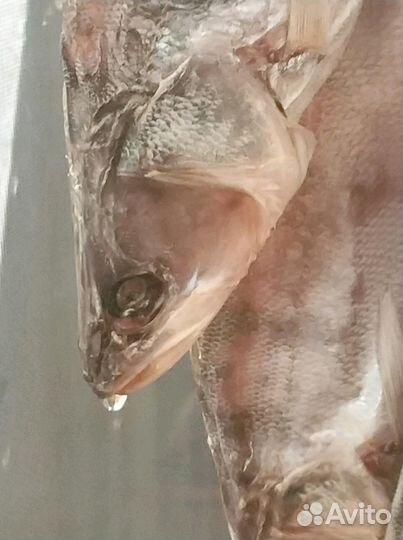 Вяленая рыба