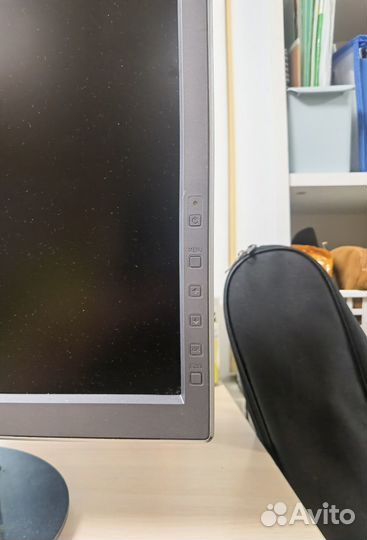 Монитор 19 дюймов sony sdm-s95a