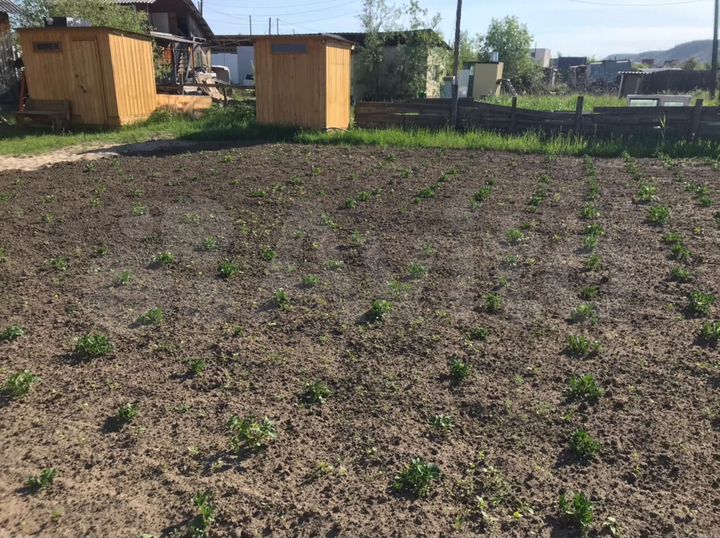 Дом 56 м² на участке 12 сот.