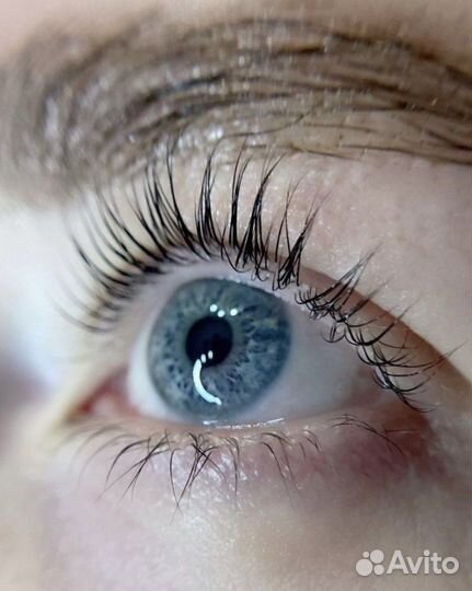 Ламинирование ресниц/бровей /м. Елизаровская