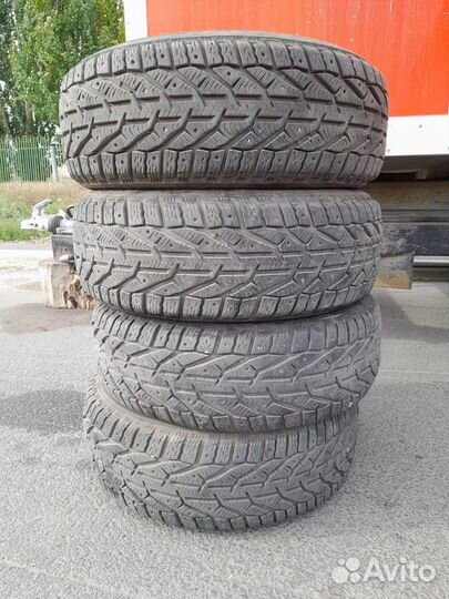 Tigar Ice 205/55 R16