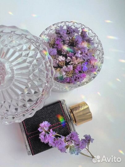 Сухоцветы для творчества