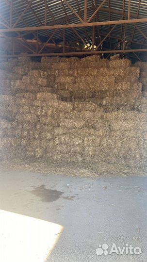 Солома пшеничная в тюках