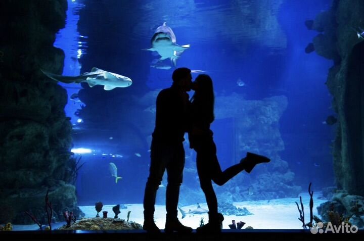 Билеты в Москвариум ВДНХ