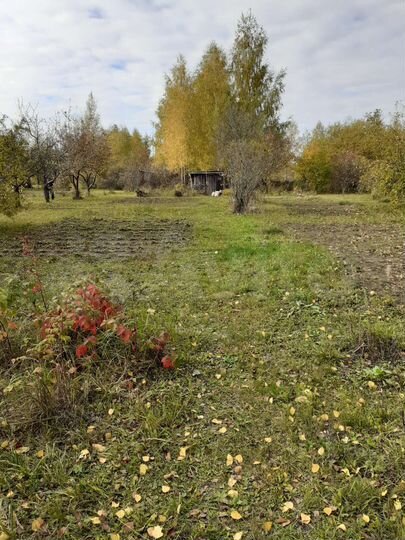 Участок 10 сот. (СНТ, ДНП)