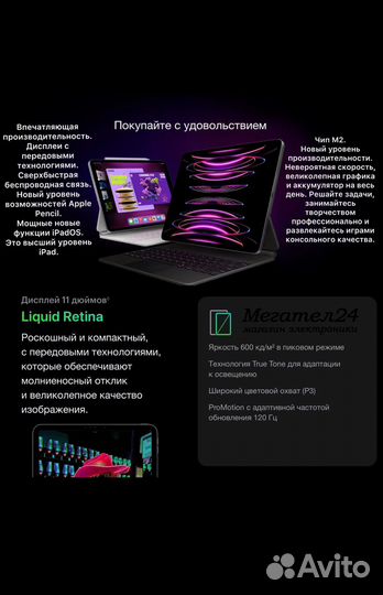 iPad Pro 11 (2022) 1Tb Wi-Fi Gray