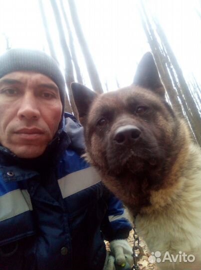 Помощник по хозяйству