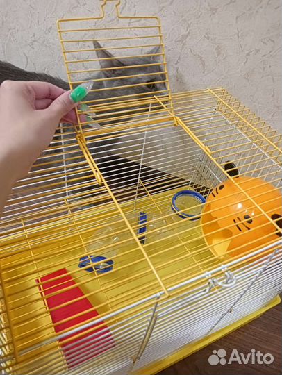 Клетка для хомяка