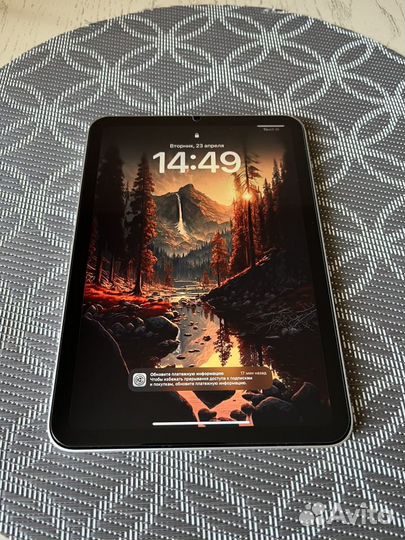 iPad mini 6 Wi-Fi 256 Gb Starlight
