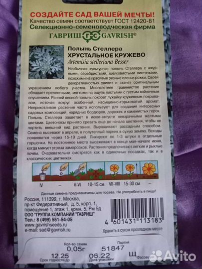 Полынь Стеллера 