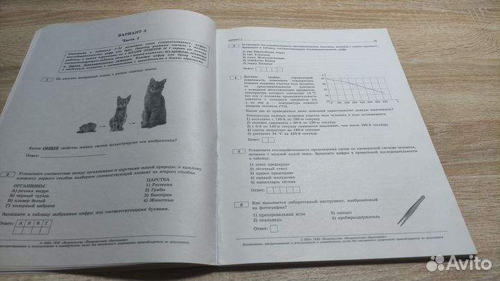 ОГЭ биология 2024 10 вариантов