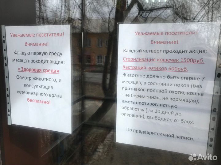 Ветклиника