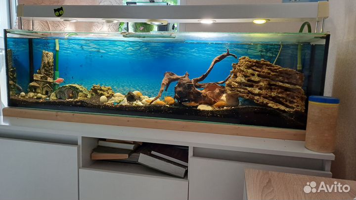 Аквариум с тумбой,рыбами и внешним фильтром eheim