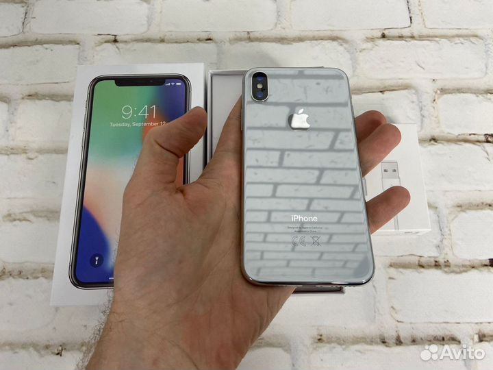 iPhone X, 256 ГБ