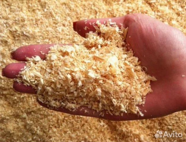 Опилки, стружка сухая сосна