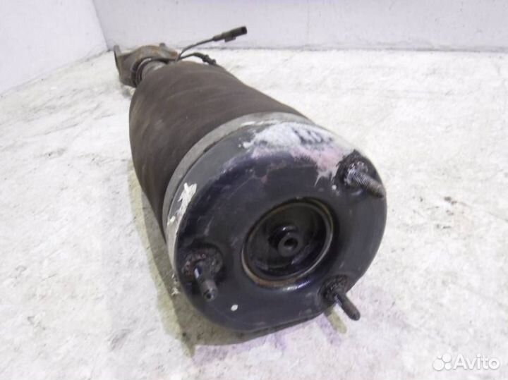 Пневмоамортизатор передний A2513203113