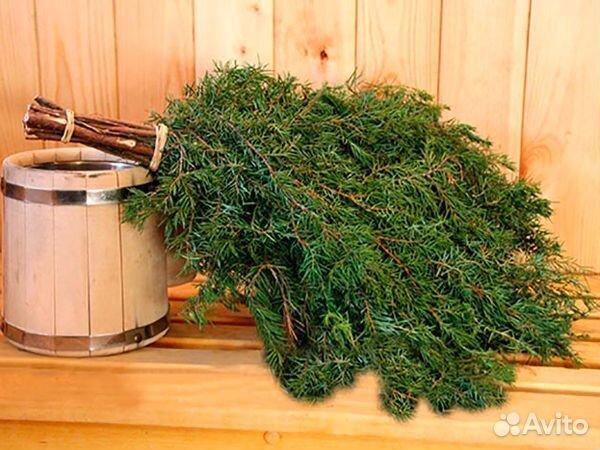 Веник кедровый, пихтовый, можжевельник