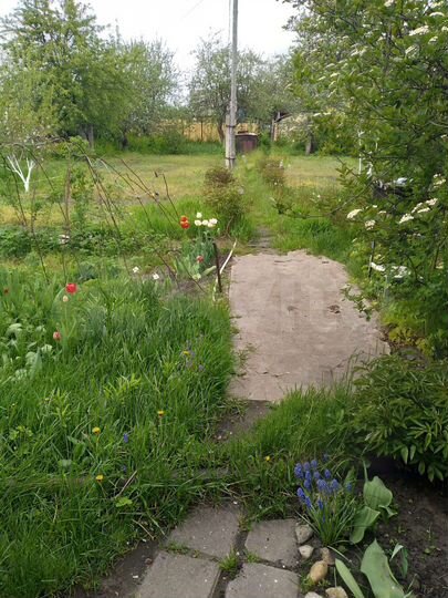 Дача 27 м² на участке 6 сот.