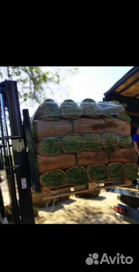 Автополив,Рулонный газон Люкс/Премиум/Спортивный