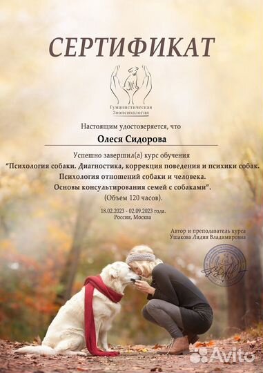 Кинолог зоопсихолог