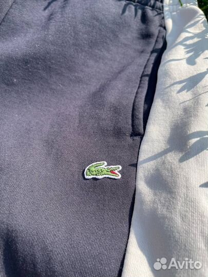 Спортивные штаны lacoste оригинал