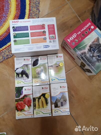 Умница чтение с пелёнок,математ, говорим,творч,анг