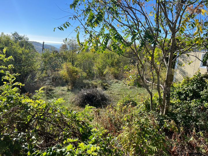 Участок 9 сот. (СНТ, ДНП)